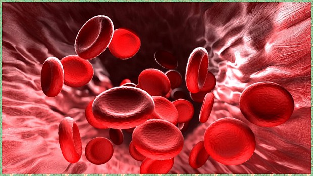 Анемия у человека