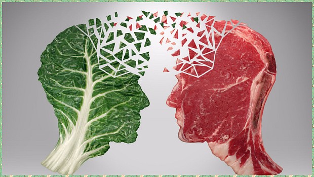 Анемии при вегетарианстве