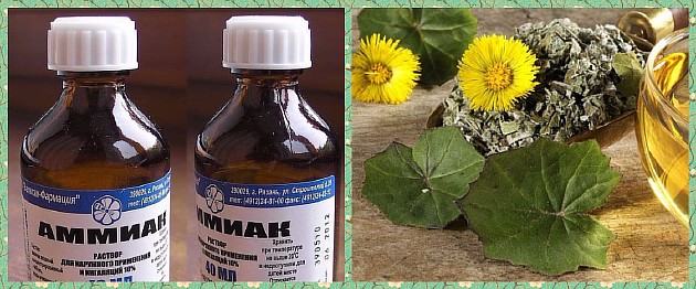 Народное лечение