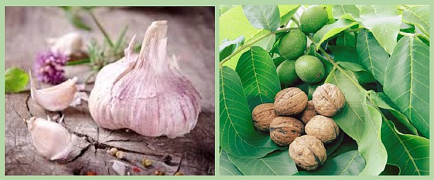 Полезные настойки