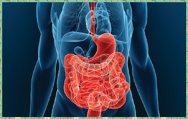 Жизнь с язвенным колитом и болезнью крона