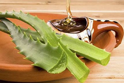 Мед с алое от бронхита