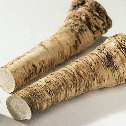 Корни хрена