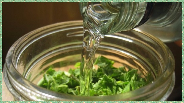 Масляный настой травы