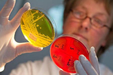 Причины появления стафилококка