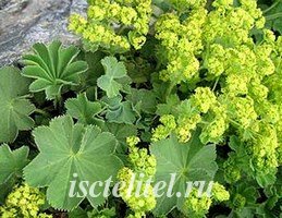 Лечение манжеткой