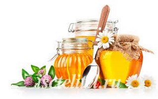 Лечение медом