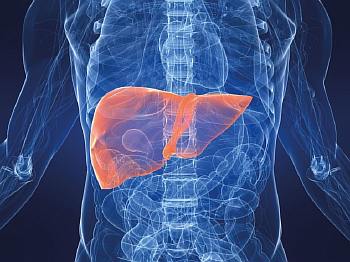 Очаговая метаплазия желудка