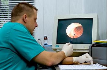 Диагностика метаплазии желудка