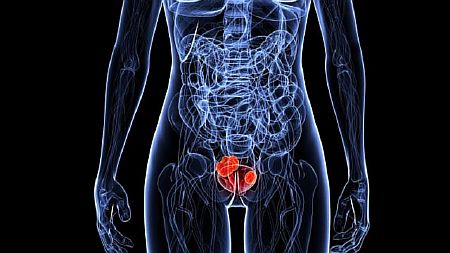 Лечение мочевого пузыря народными средствами