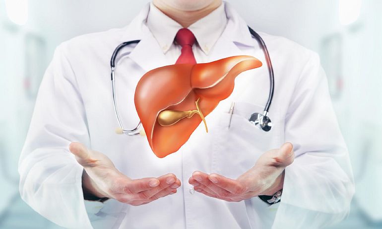 Печень и желчевыводящие пути