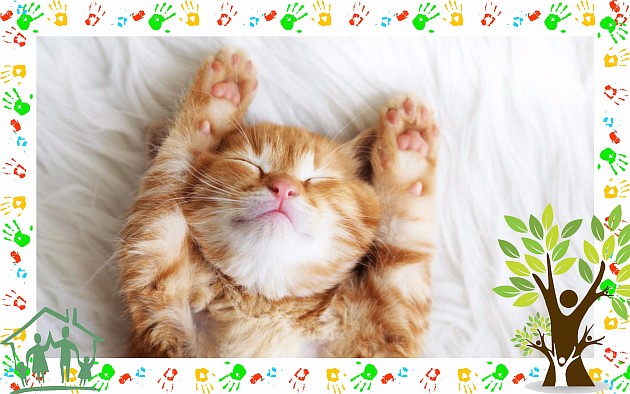 Отличный сон