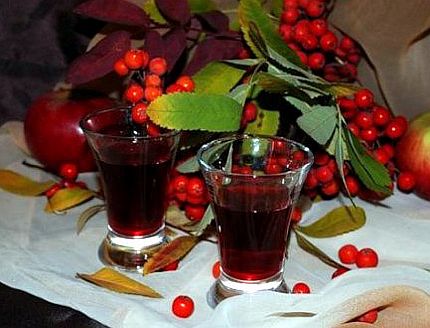 Рябиновый сок при поносе