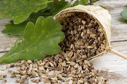 Кора дуба при лечении диареи