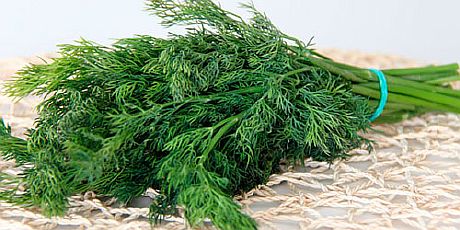 Укроп в борьбе с шумом в ушах