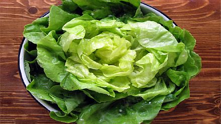 Добавляем манжетку в салат