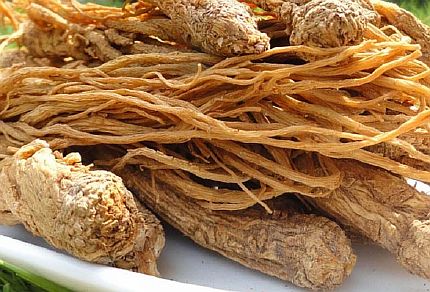 Корень дудника