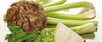 Корень сельдерея