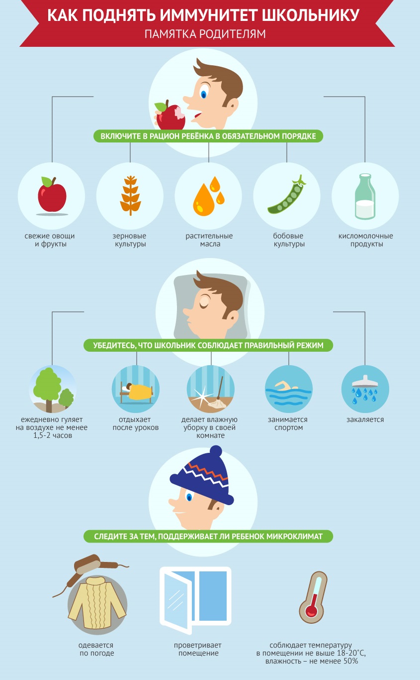 Как укрепить иммунитет школьнику? Укрепление иммунитета