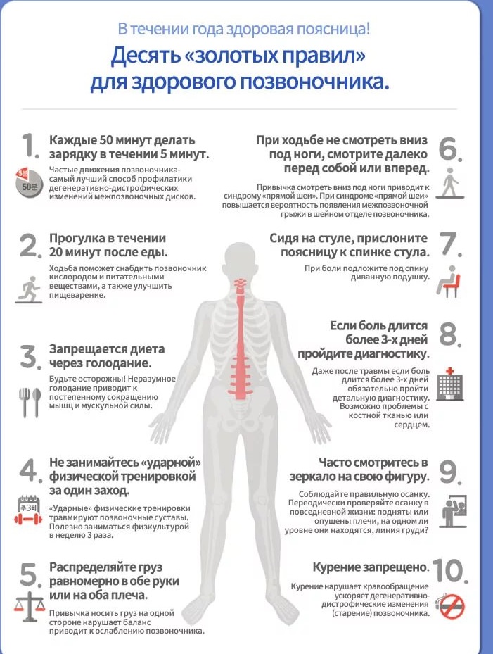 Здоровый позвоночник Болезни позвоночника
