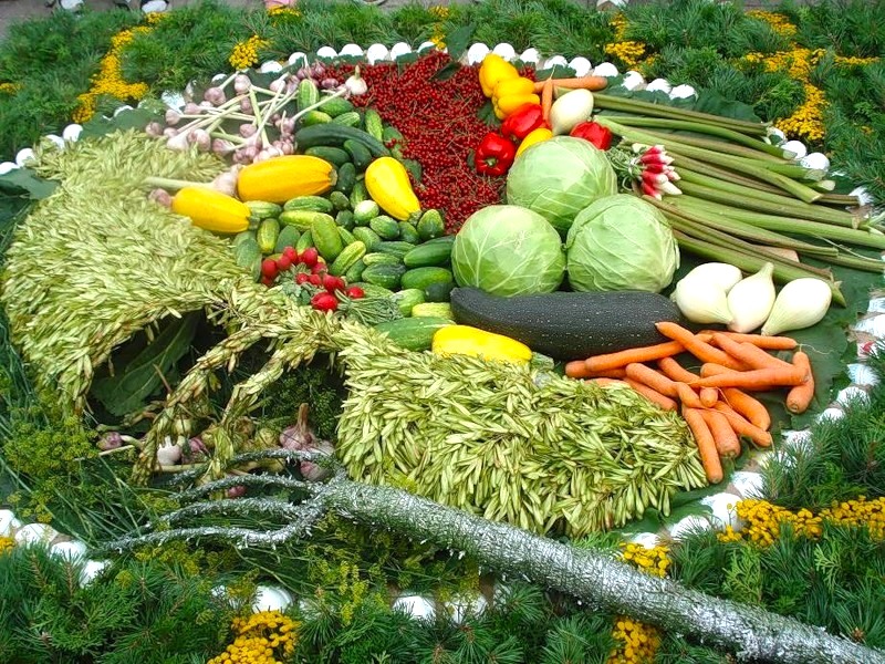 Диета здоровья