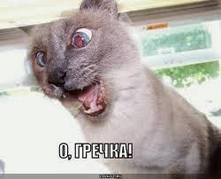 Гречневая диета Гречневая диета