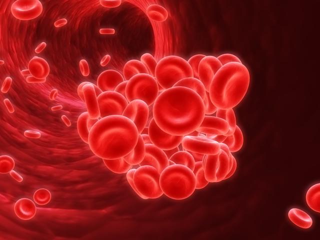 Густая кровь