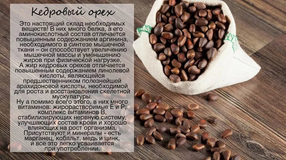 Кедровые орехи Кедровые орехи