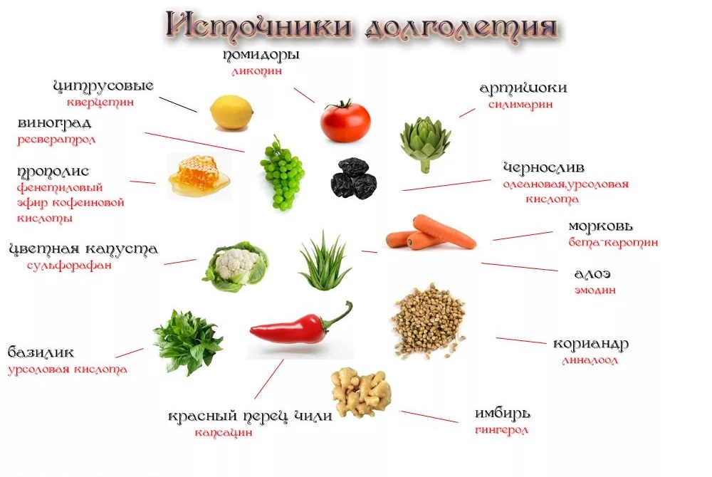 Источники долголетия молодость и долголетие