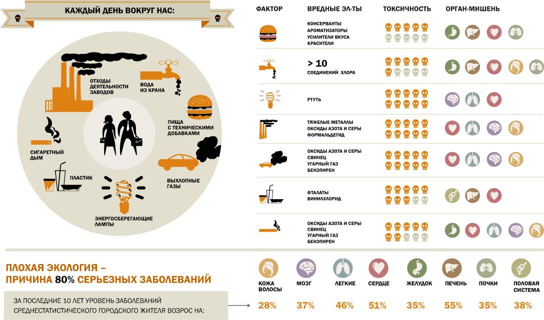 Очищение организма