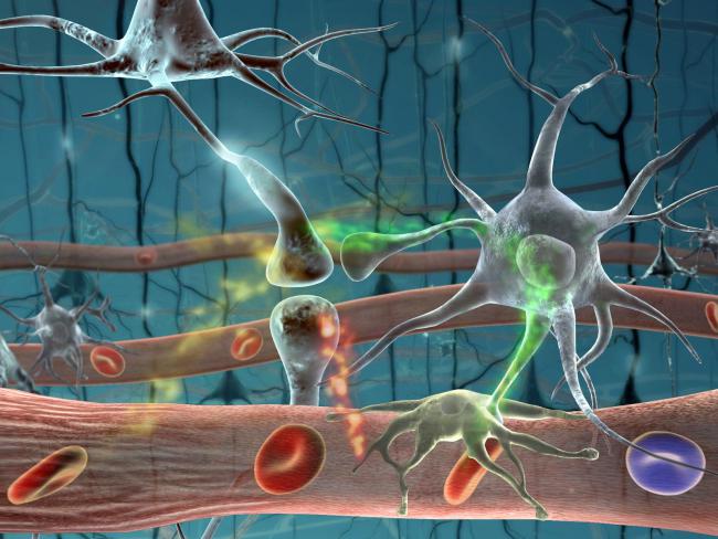 Паразиты в организме