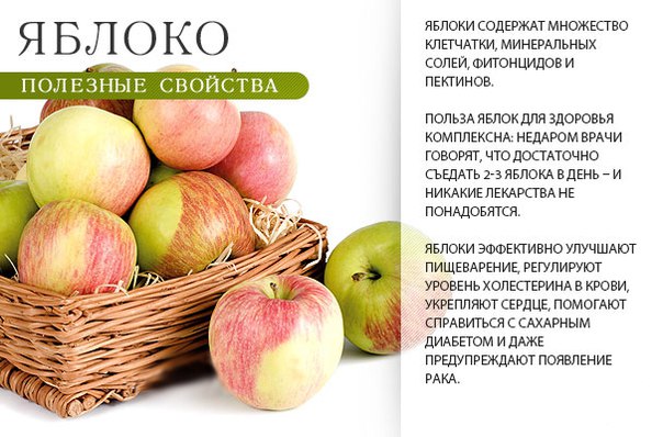Польза яблок