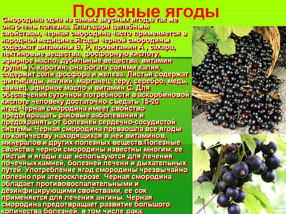 Польза ягод