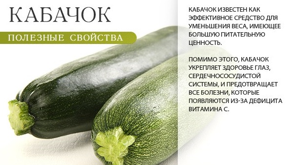 Польза кабачка
