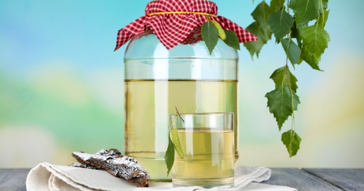 Польза березового кваса Польза кваса