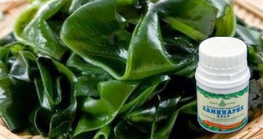 Чем полезна морская капуста? Чем полезна морская капуста?