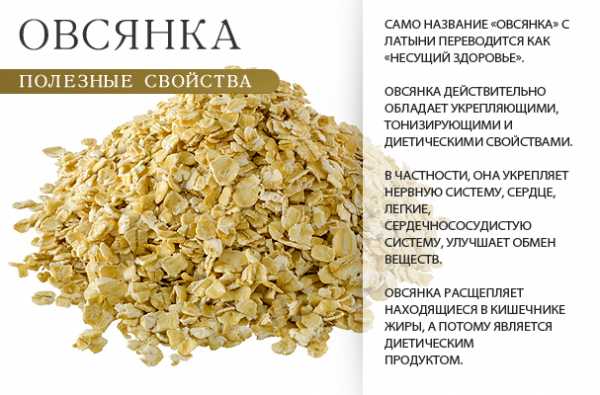Полезные свойства овсянки Польза овсянки