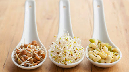 Польза пророщенных семян Польза пророщенных семян