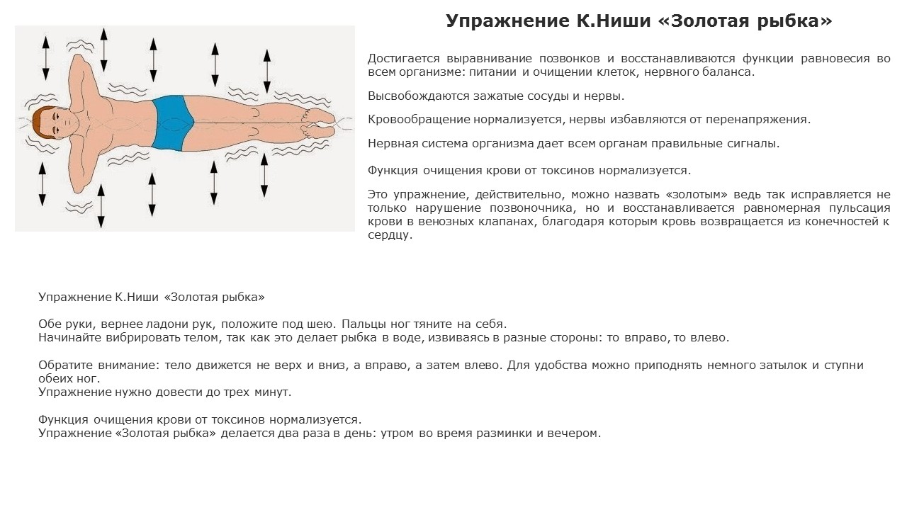 Упражнение Ниши Правила Ниши