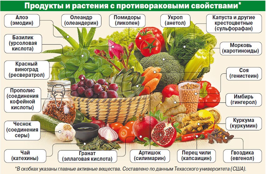 Продукты питания и растения против рака Продукты против рака