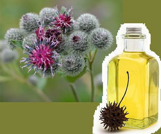 Репейное масло против перхоти Репейное масло против перхоти