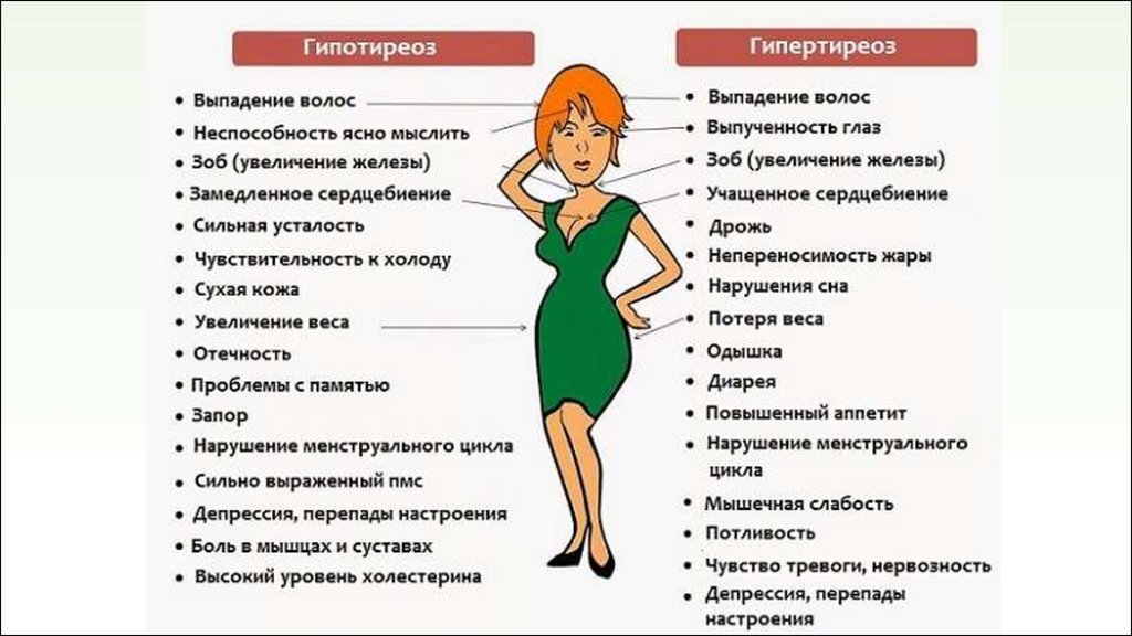 Щитовидная железа