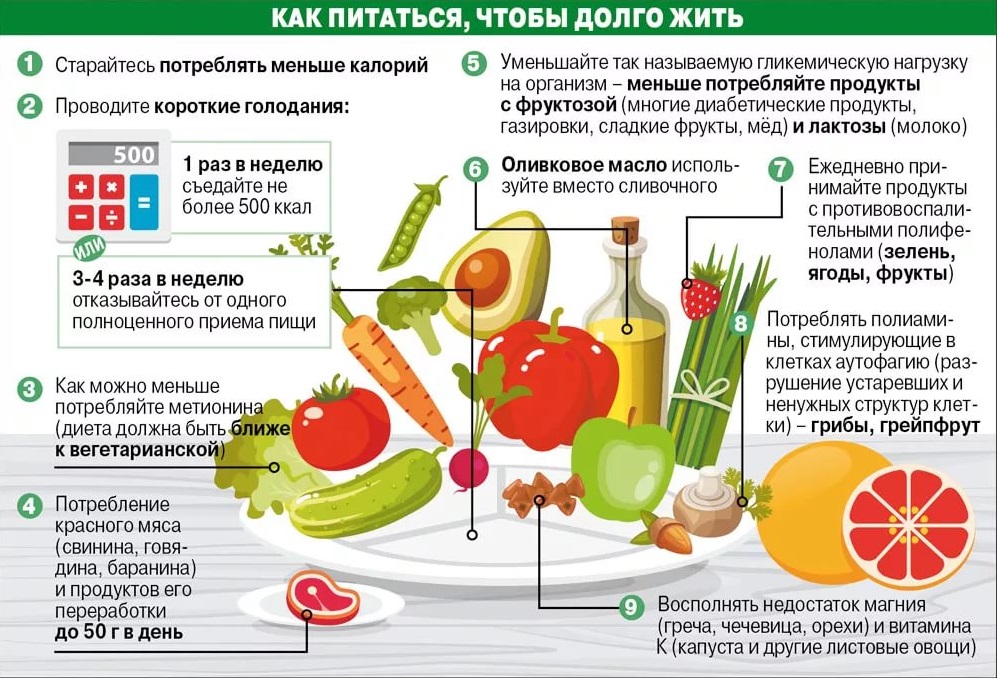 Как питаться, чтобы сохранить молодость? Сохранить молодость