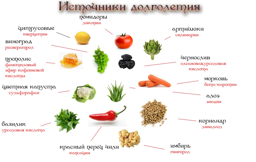 Источники долголетия Сохранить молодость