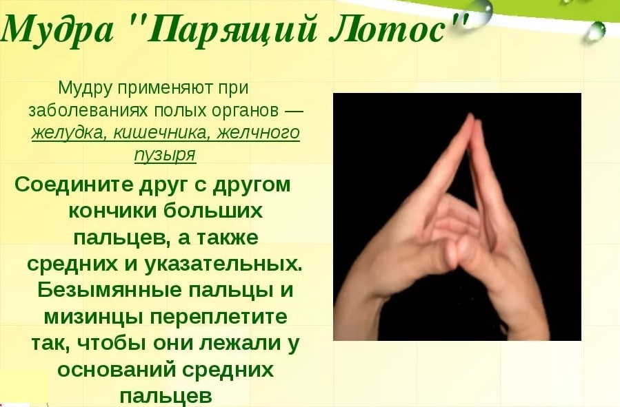 Уникальные средства от язвы Средства от язвы