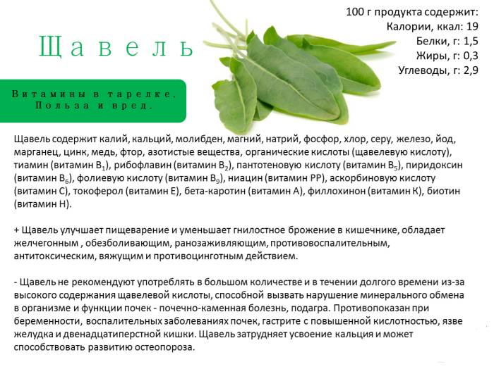 Свежая зелень