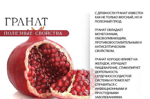 полезные свойства граната Польза граната