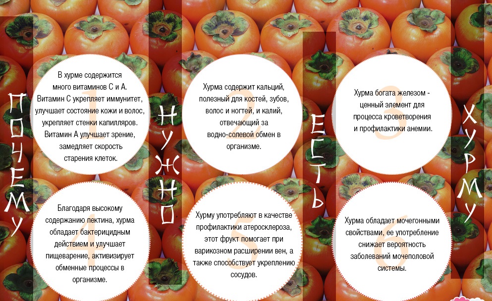 Свойства хурмы Свойства хурмы