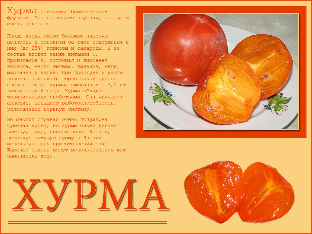 Полезные свойства хурмы Свойства хурмы