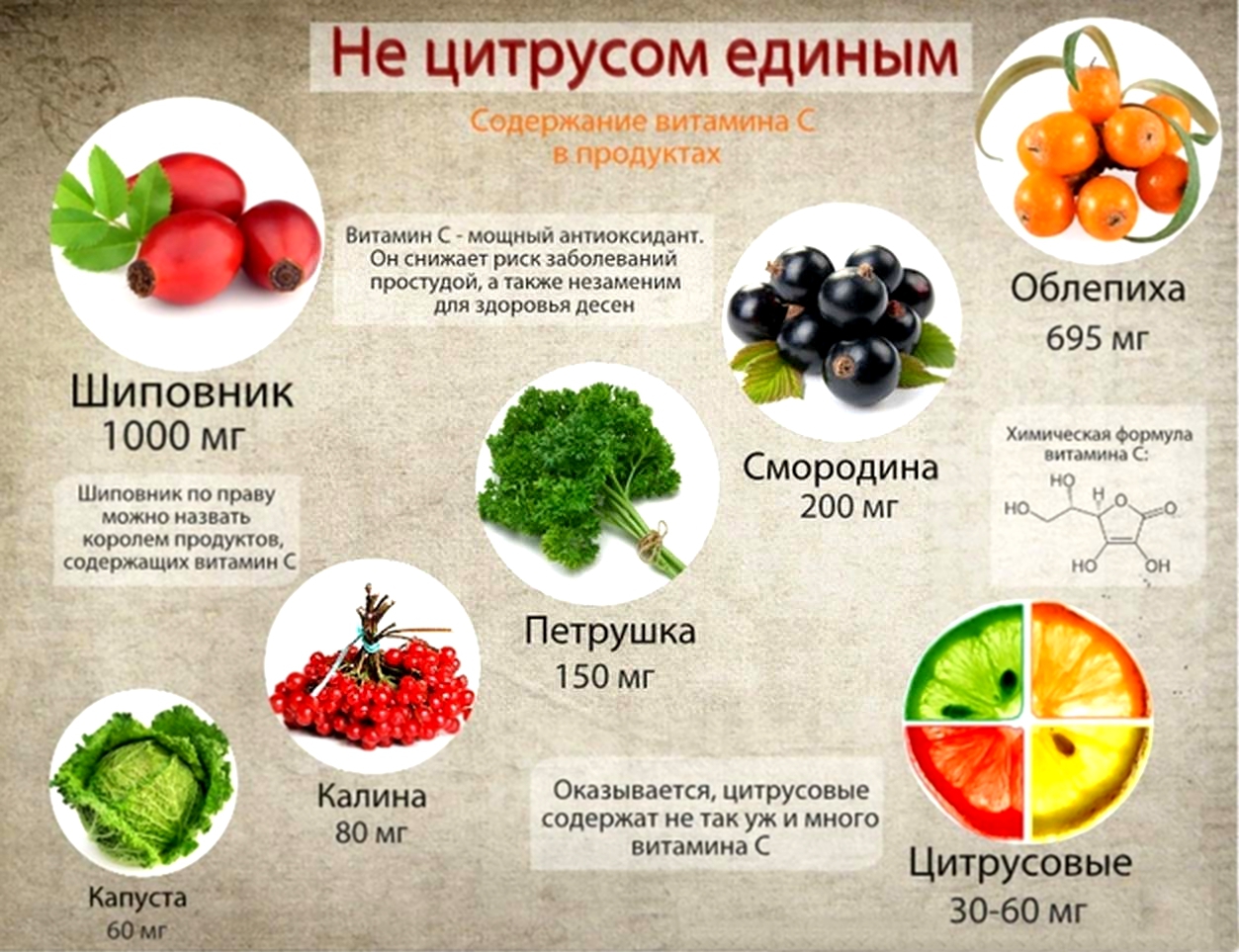 Свойства шиповника Свойства шиповника